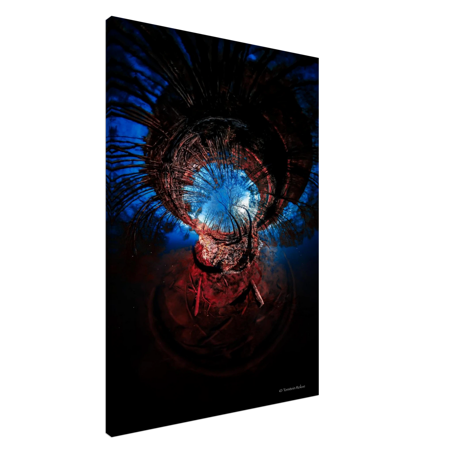 a652c6ad-a672-4946-b5b2-2fd0ac1ea4e8
