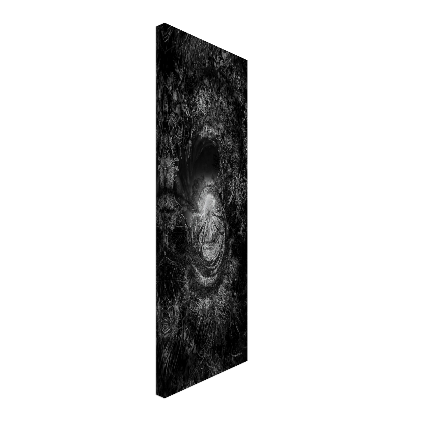 a820b008-8511-4268-9440-510e02bddb40