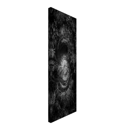 a820b008-8511-4268-9440-510e02bddb40