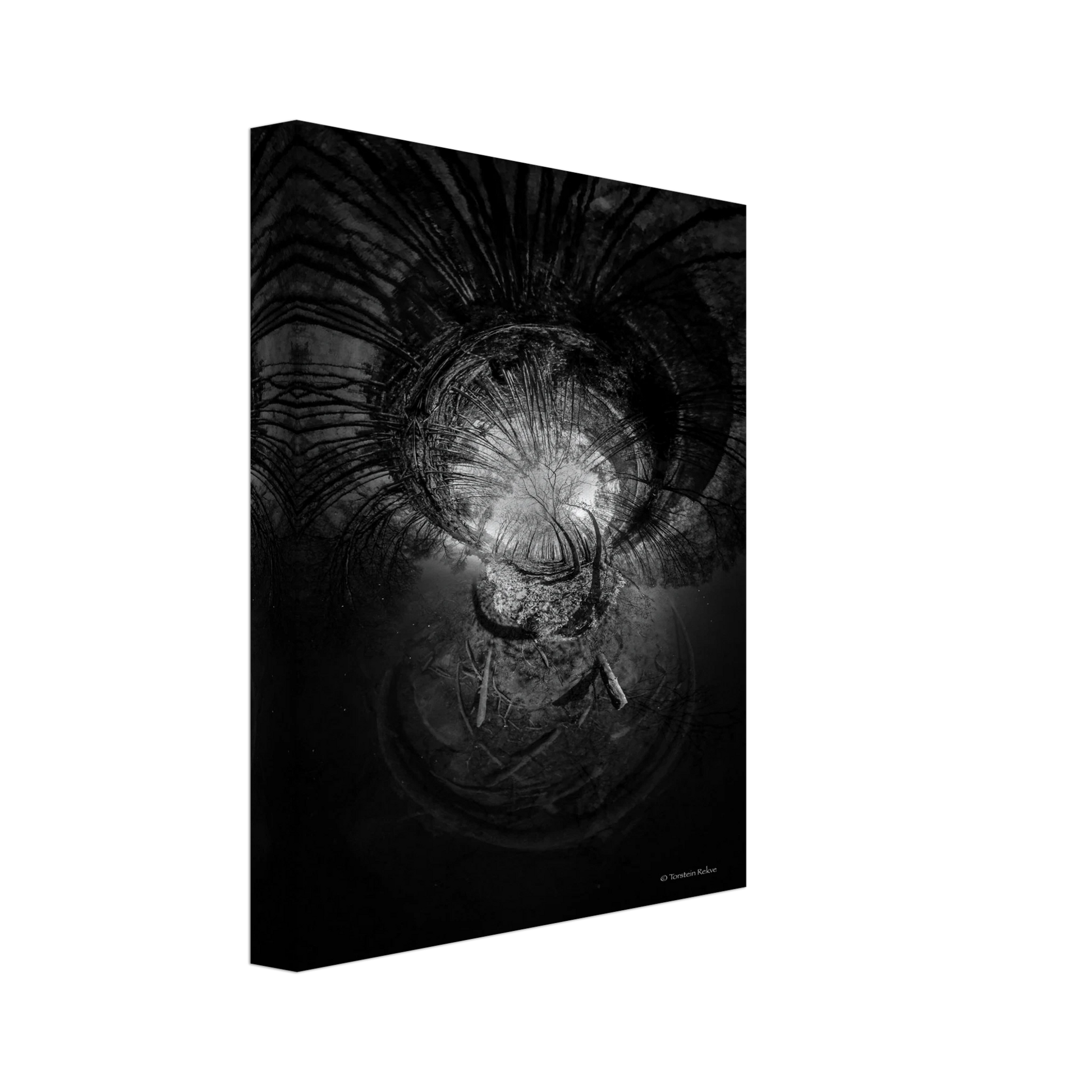 b09ec213-4ee2-48a5-8fce-be5270bf2824