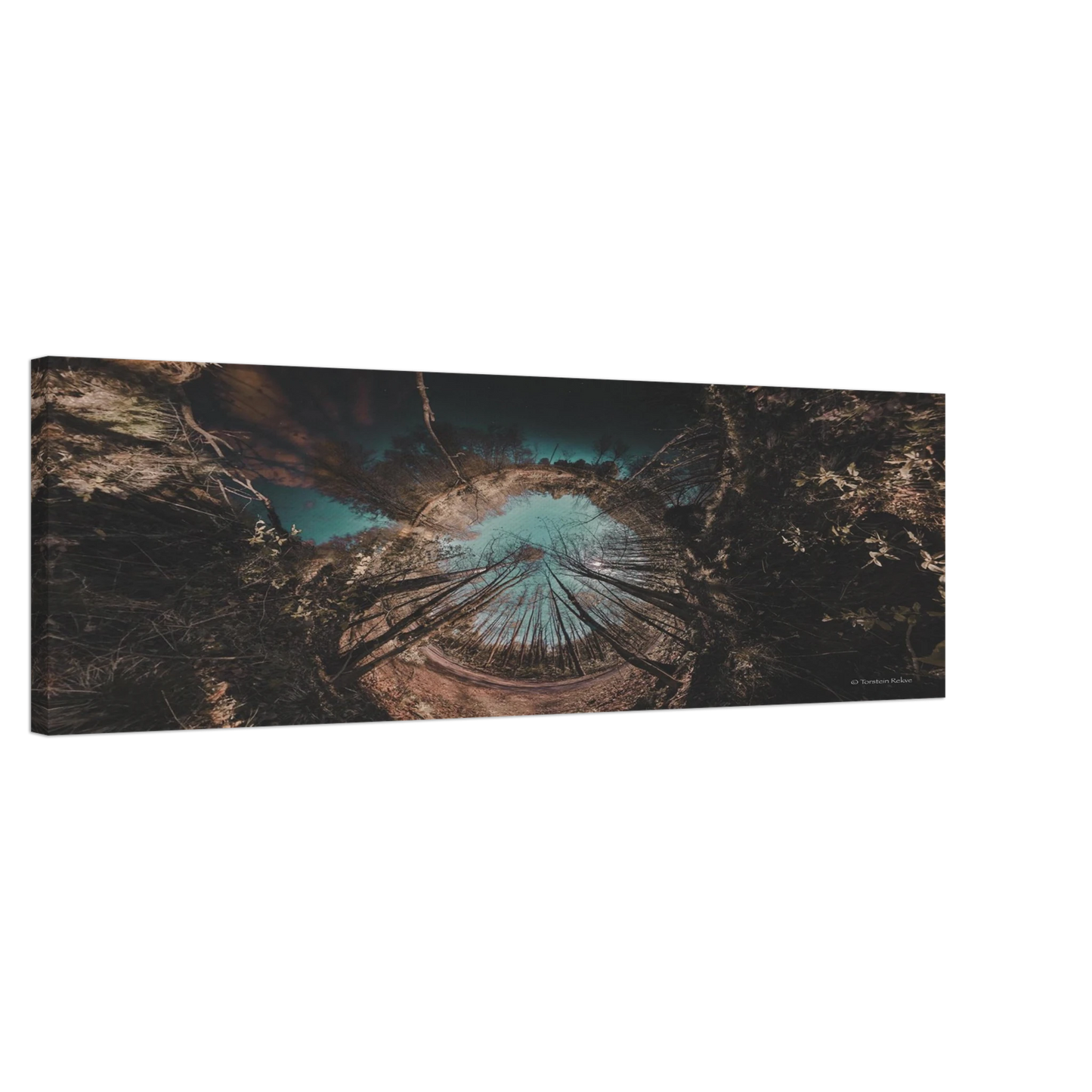 b6b119d3-09cc-424e-bbbc-639ae1bccb55
