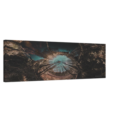 b6b119d3-09cc-424e-bbbc-639ae1bccb55