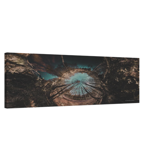b6b119d3-09cc-424e-bbbc-639ae1bccb55