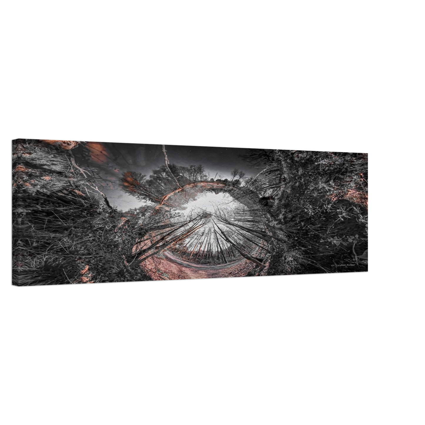 bbd166bf-2860-45b6-ae7e-6563896b8229
