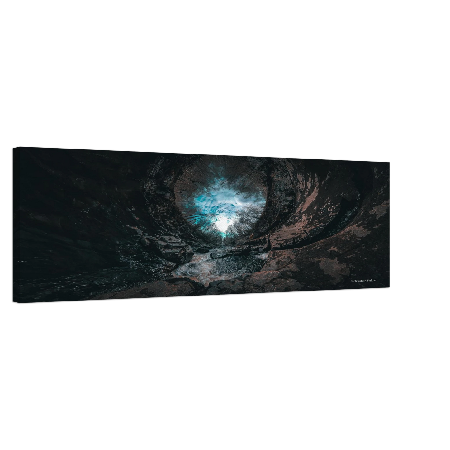 c1b8f50e-4fd9-44b8-b4d9-3fb9fb9e8a00
