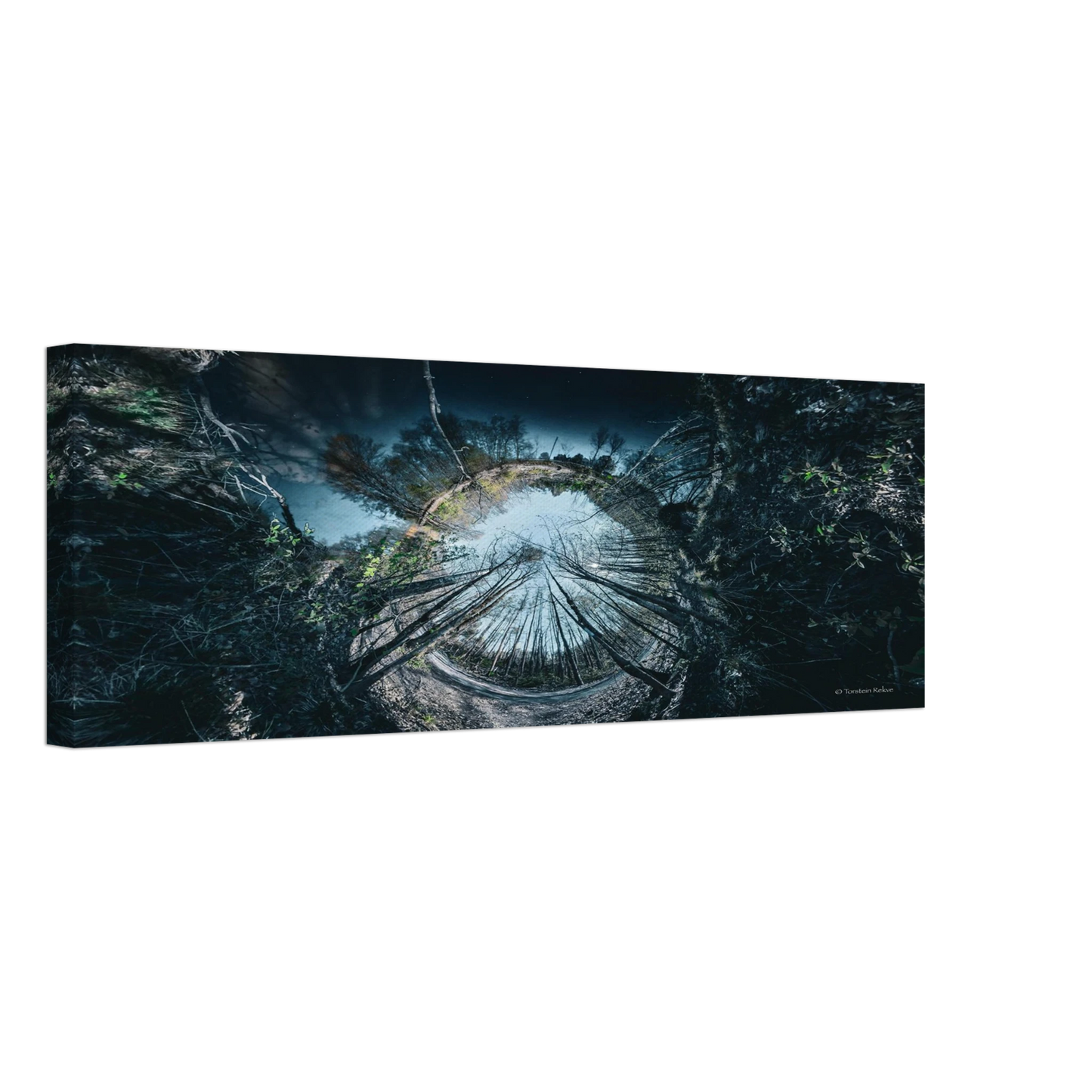 c23268ef-2df9-4dbb-a7e2-77787d566b11