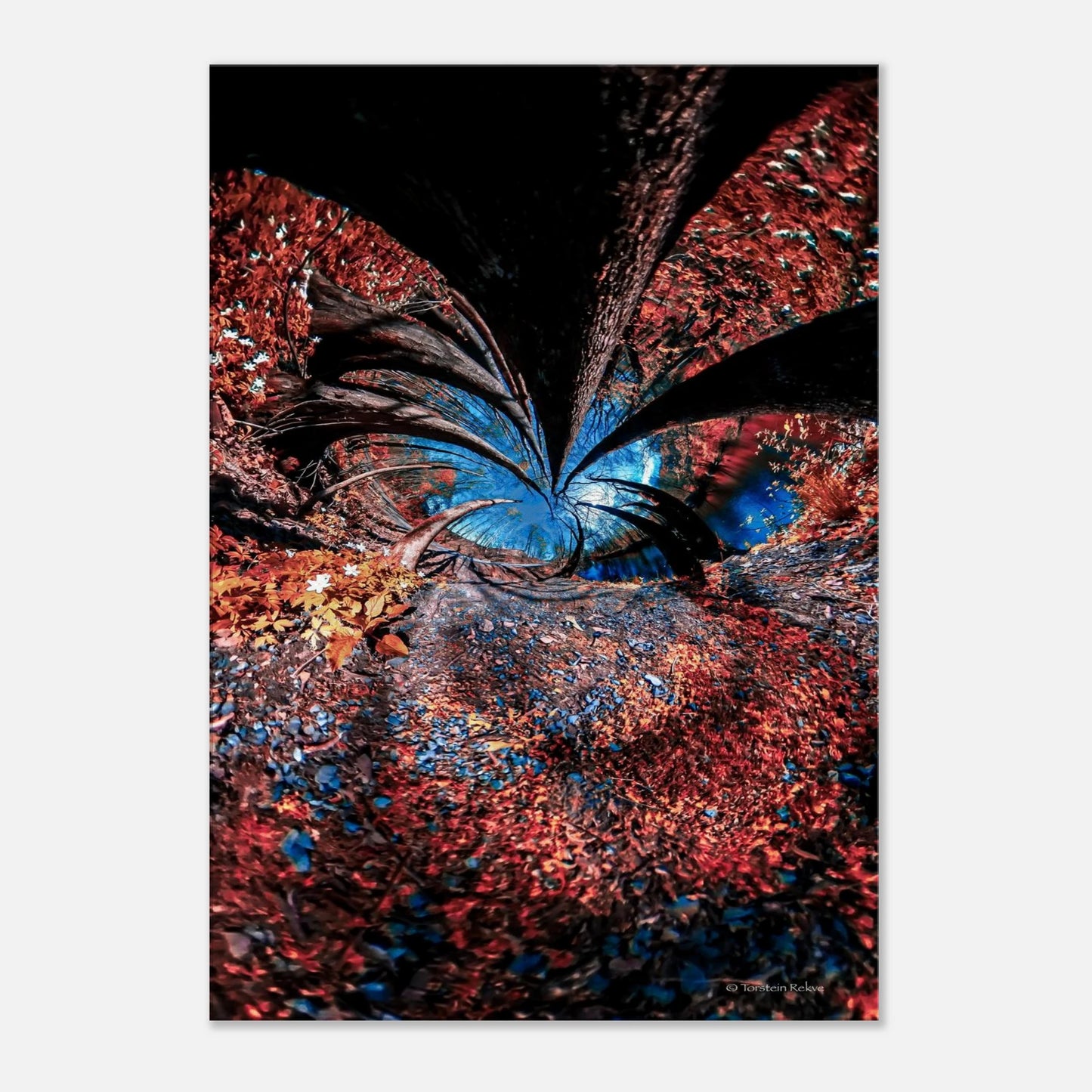 c99345d9-a5e3-4add-bffc-e4c65294ec19