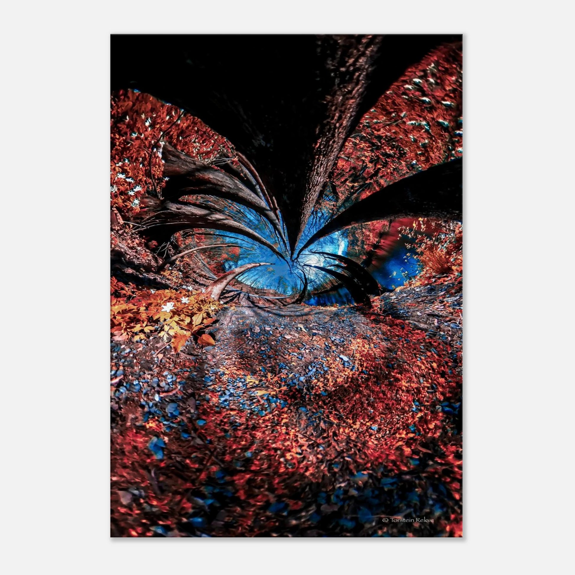 c99345d9-a5e3-4add-bffc-e4c65294ec19