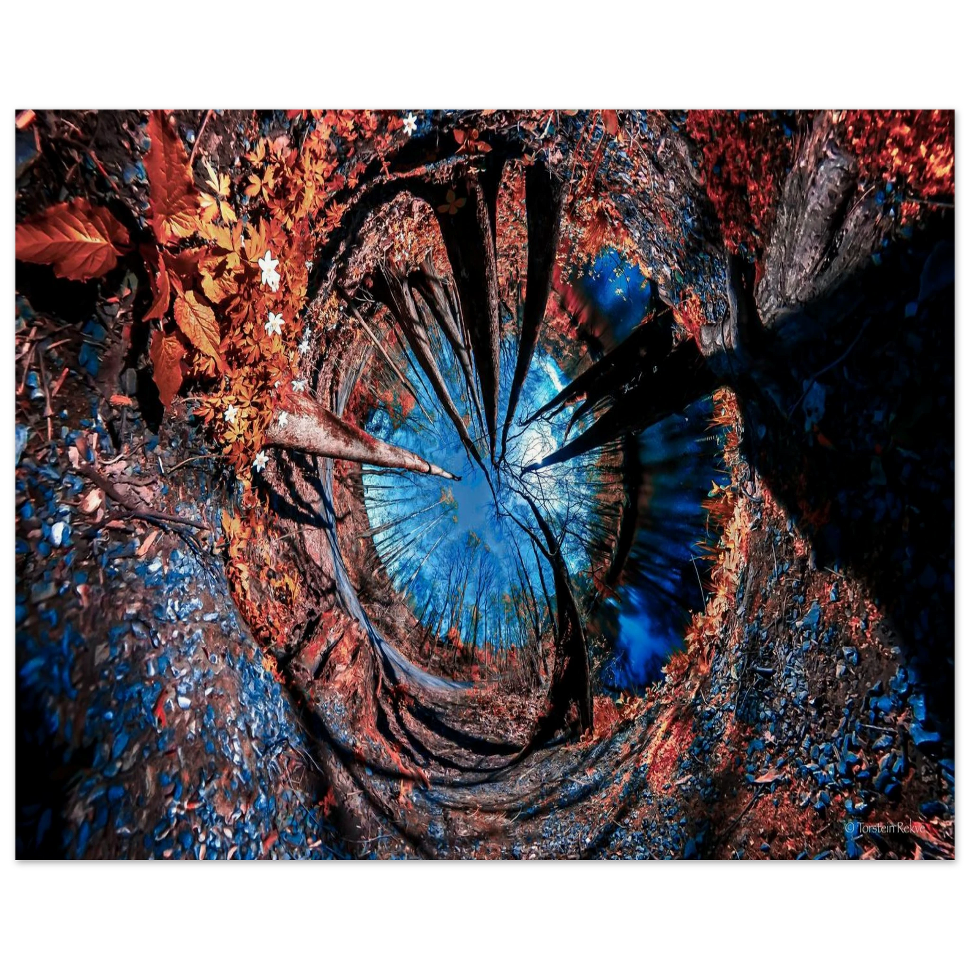cd32ff12-0676-4583-a6eb-b08ef1fce299