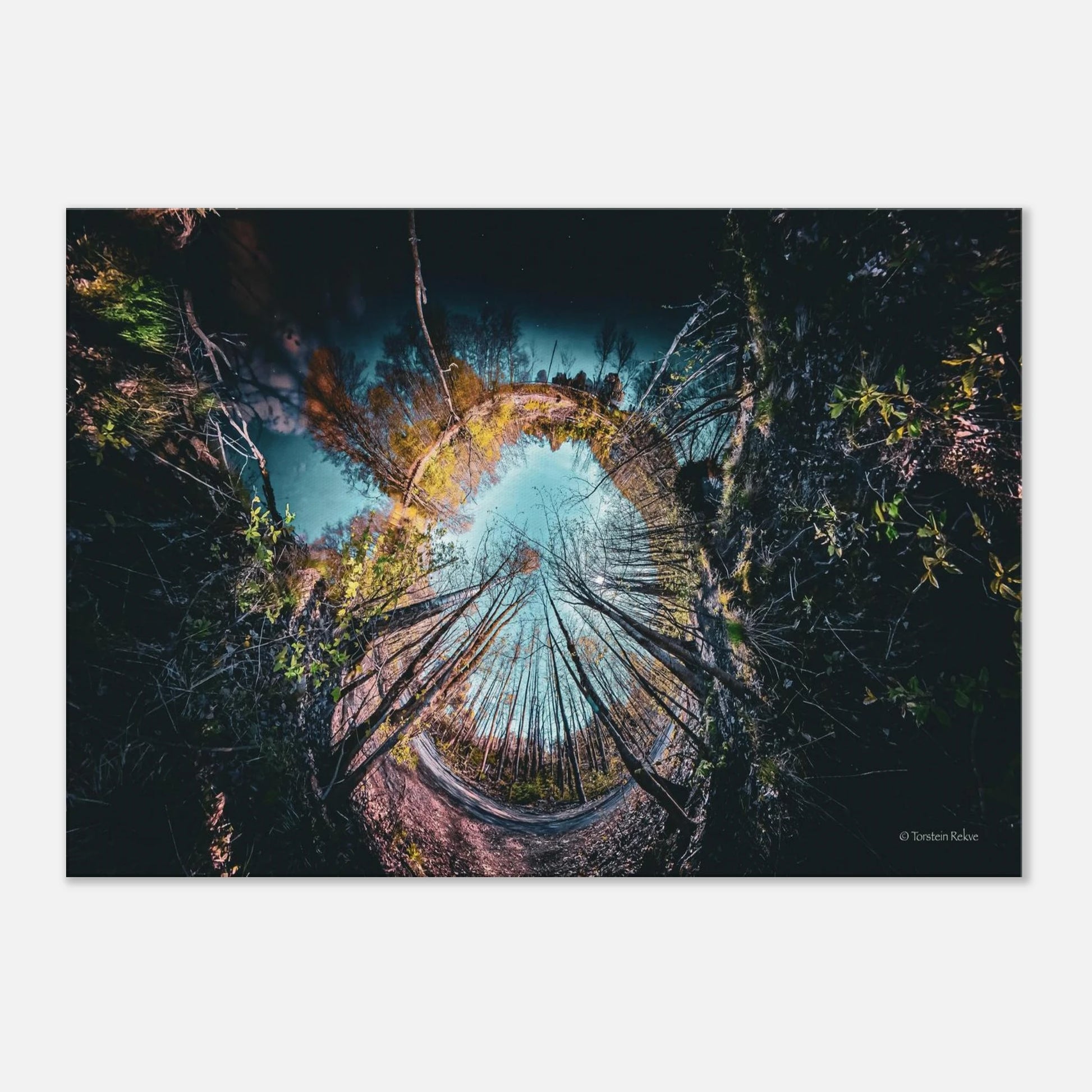 d0252ba9-ca50-4c8d-9ca3-f7b64b86ce20
