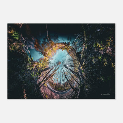 d0252ba9-ca50-4c8d-9ca3-f7b64b86ce20