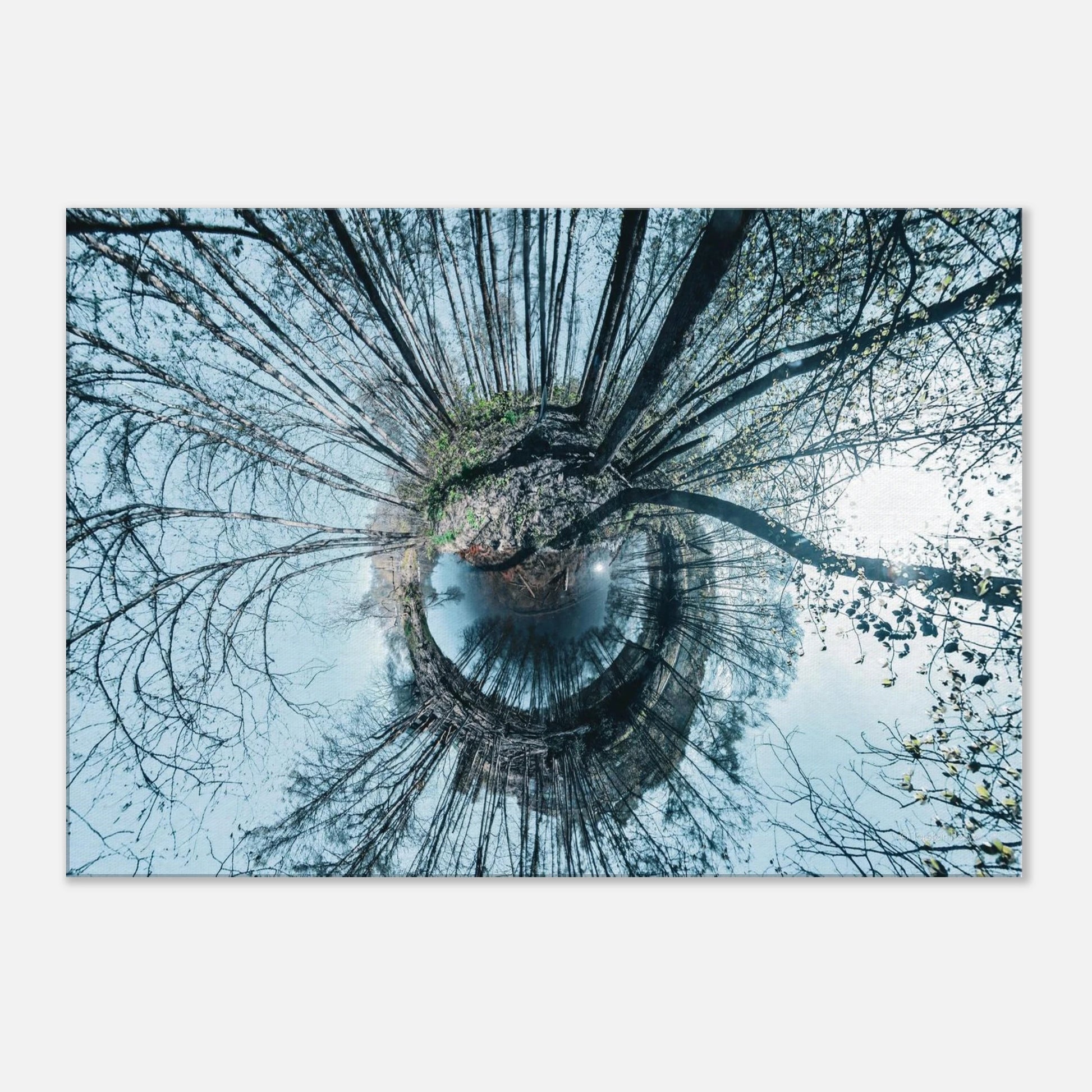 d0f5802b-a1d6-49dd-96a2-3b342b2f1660