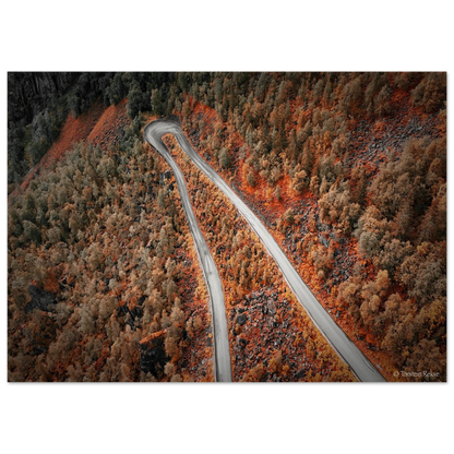 d2139af5-e6b2-431d-9d1c-a7300839c4a2