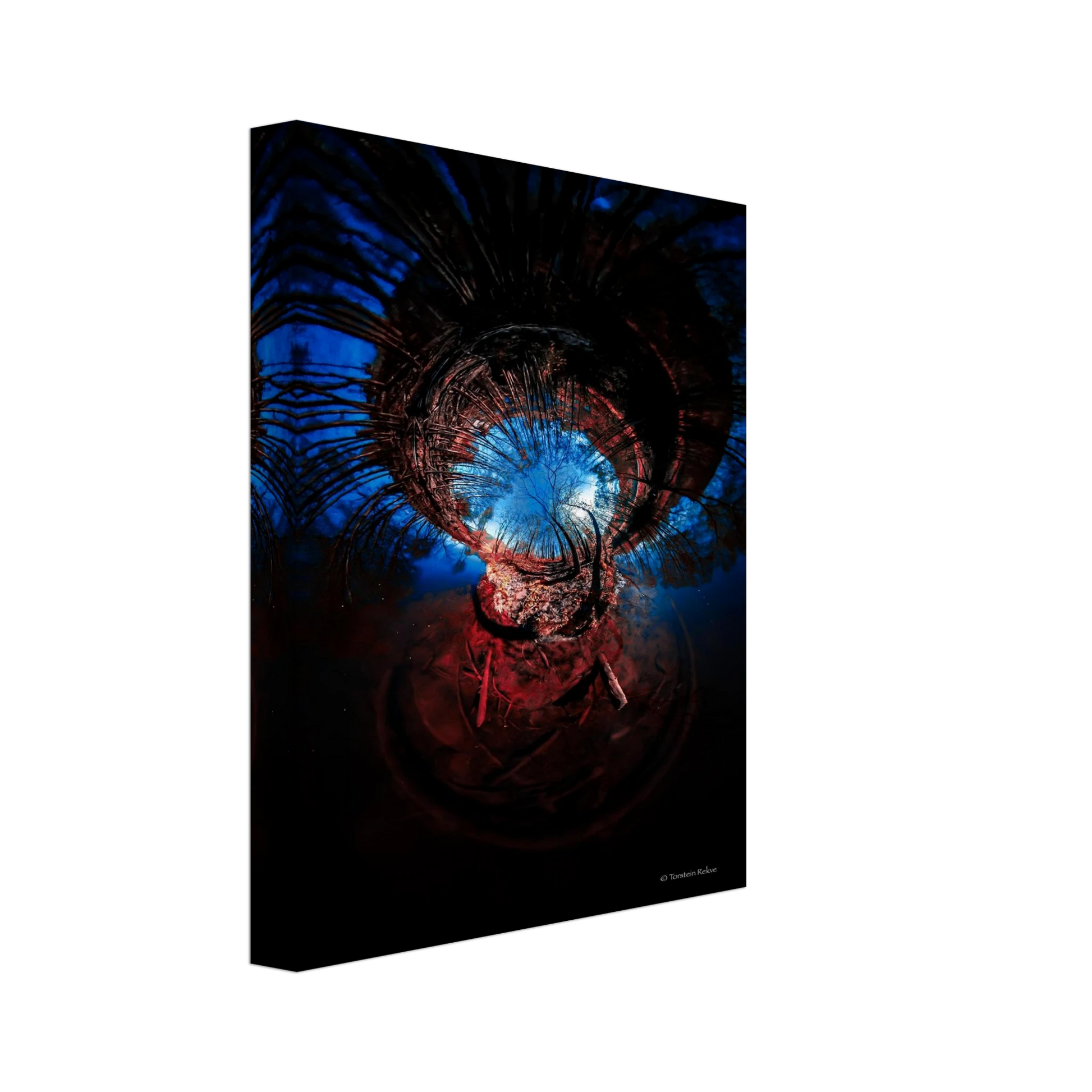 d31c33ee-a77f-4438-bda1-da93f3d9ca8c