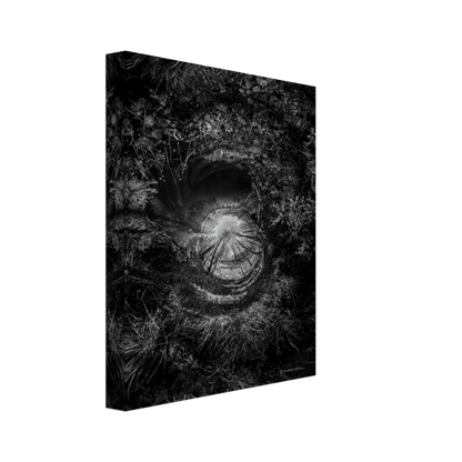 d88351f8-063a-4c1c-9222-0d26ae2c4689