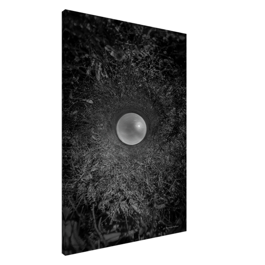 e04b4dfd-c29e-4de5-a11a-13c0ee376541