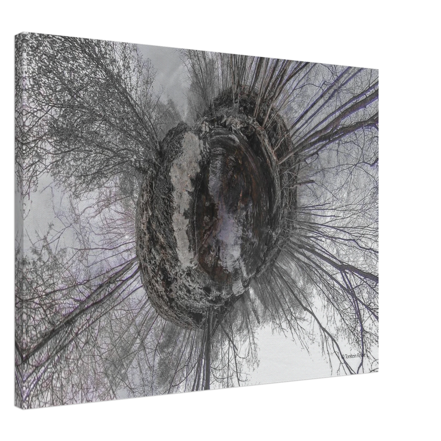e5e9c2fa-2343-4a7c-bc04-ca61c1b7704c