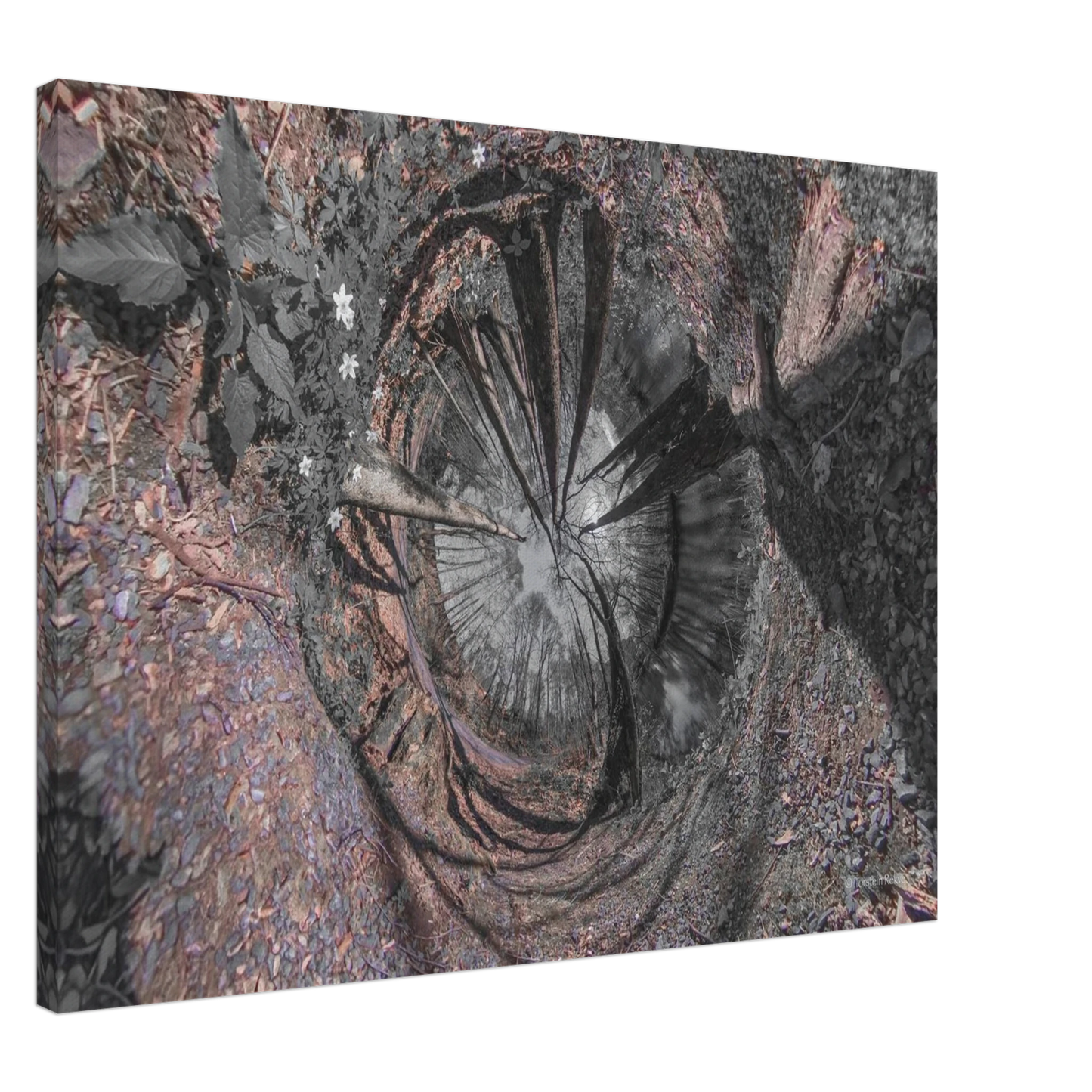 e8484116-2713-4d7e-b5ef-8465eac7bc3e