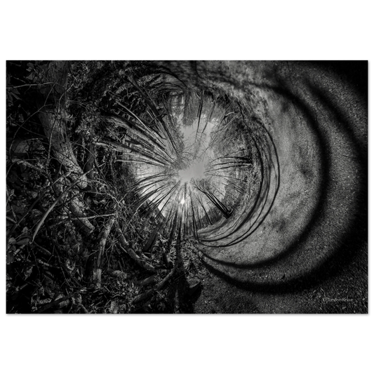 e897984d-7e8a-4636-bf26-4b1e18ec8c12