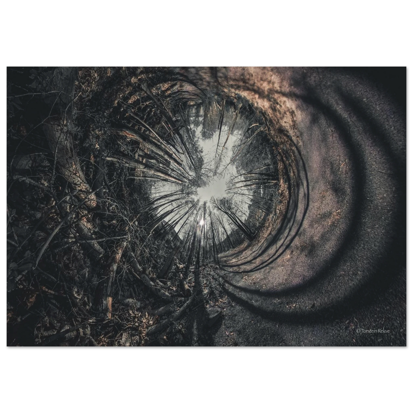 ec0532c5-e889-4ea2-9147-a46b6835503f