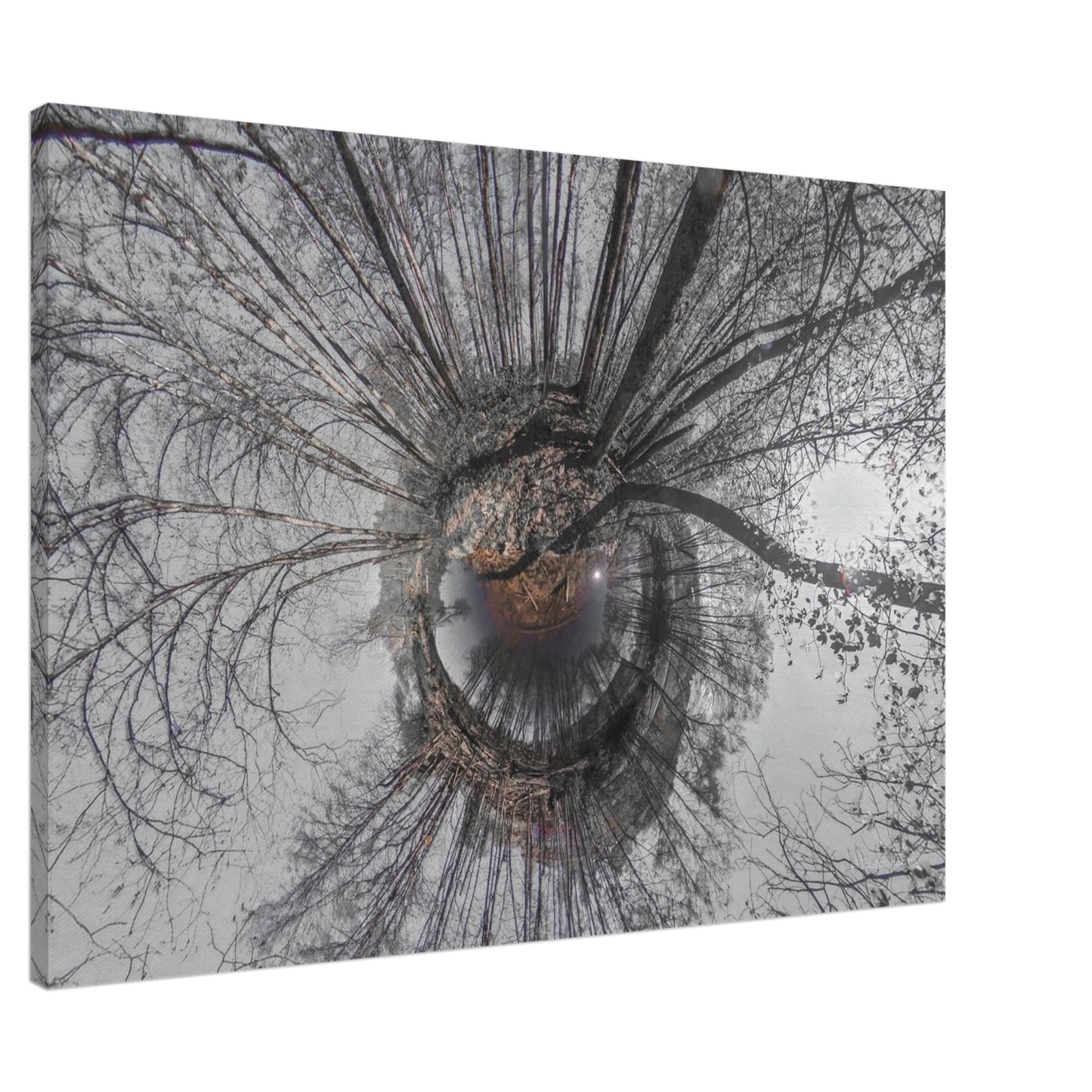 f4a72151-40d2-42d7-a88e-52e5e3b9e91e
