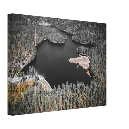 f5465036-9303-4472-9616-418bcc89f2cd