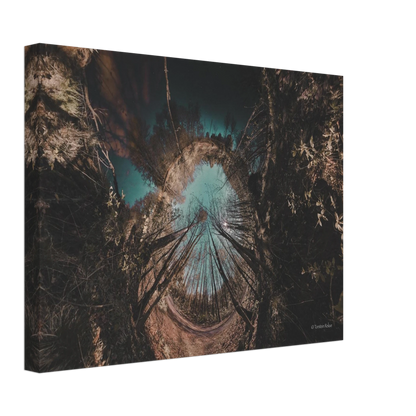 f76c6253-2ab1-47d3-a3ce-963ce4910964