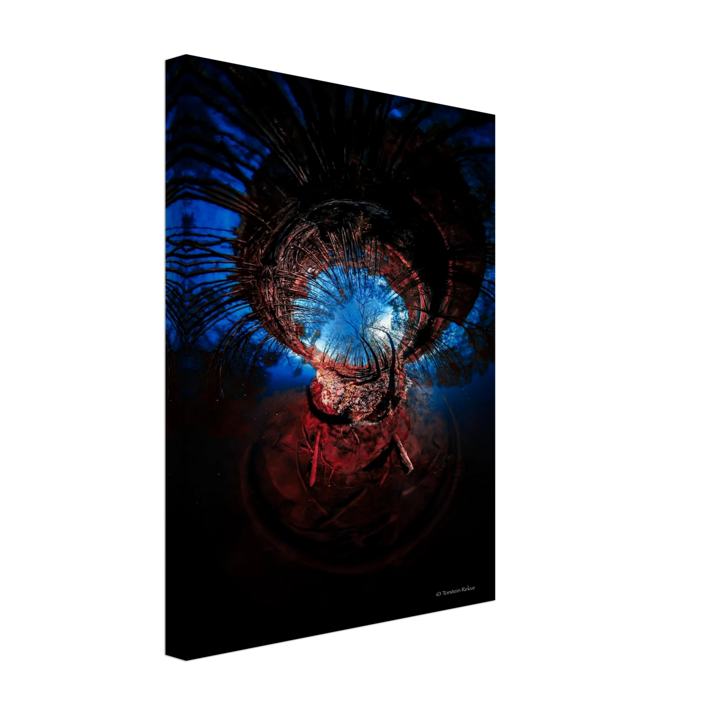 fa0b65f5-ed0e-4227-a99a-94286a9836ca